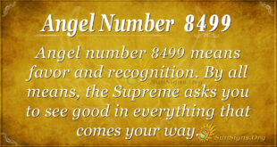 Angel Number 8499