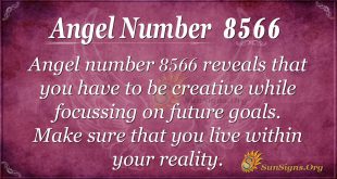 Angel number 8566