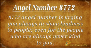 Angel number 8772