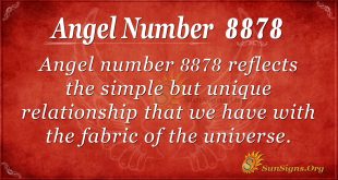 Angel number 8878