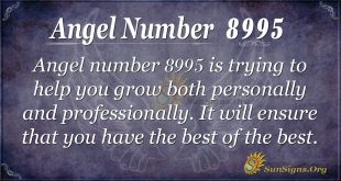 Angel number 8995
