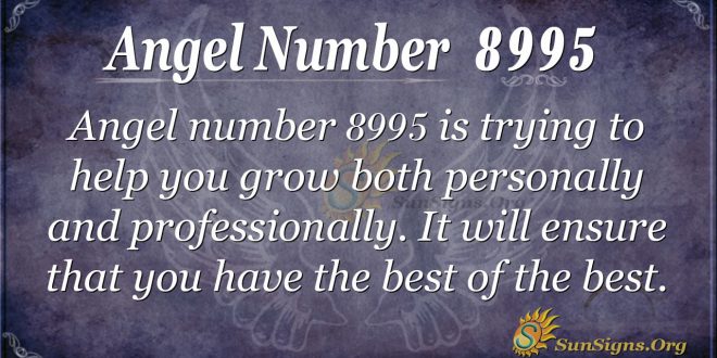 Angel number 8995