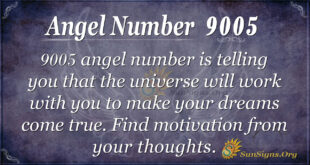 Angel Number 9055
