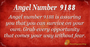 Angel number 9188
