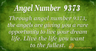 Angel number 9373