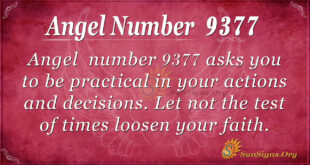 Angel number 9377