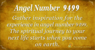 Angel number 9499