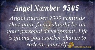 9505 angel number