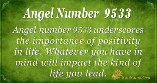 9533 angel number