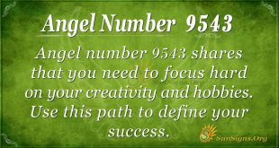 Angel number 9543