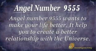 Angel number 9555