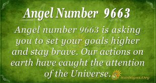 Angel number 9663