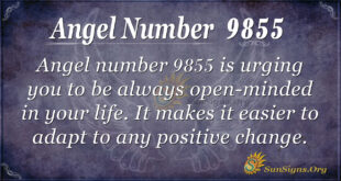 9855 angel number