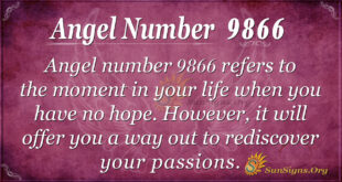 Angel number 9866
