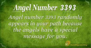 3393 angel number