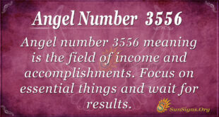 3556 angel number