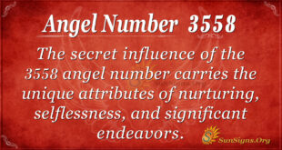 Angel Number 3558