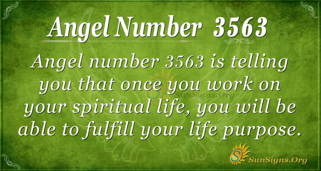 Angel Number 3563