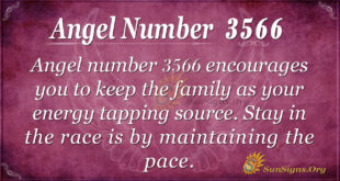 3566 angel number