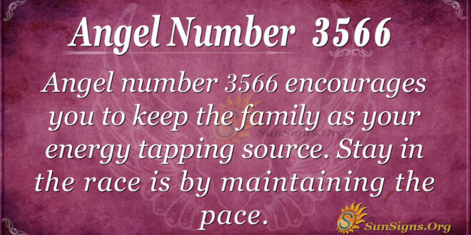 3566 angel number