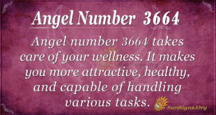 3664 angel number