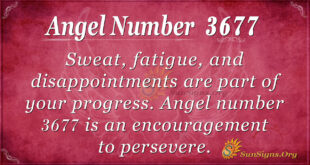 Angel Number 3677