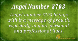 Angel number 3703