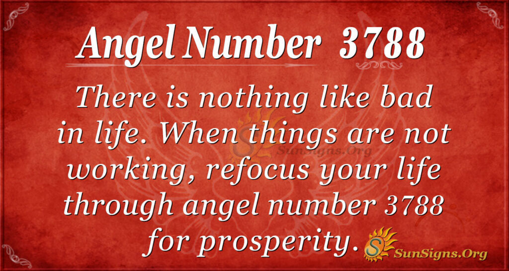 Angel Number 3788