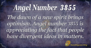 Angel Number 3855