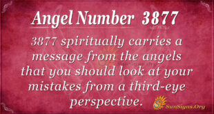3877 angel number
