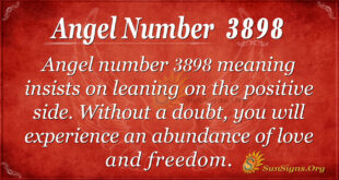 Angel number 3898