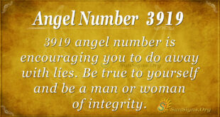 Angel number 3919