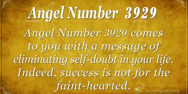 3929 angel number