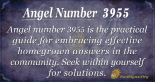 3955 angel number