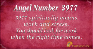 3977 angel number