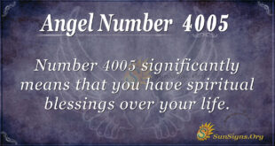 Angel number 4005
