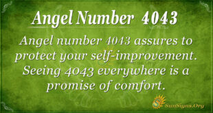 Angel Number 4043
