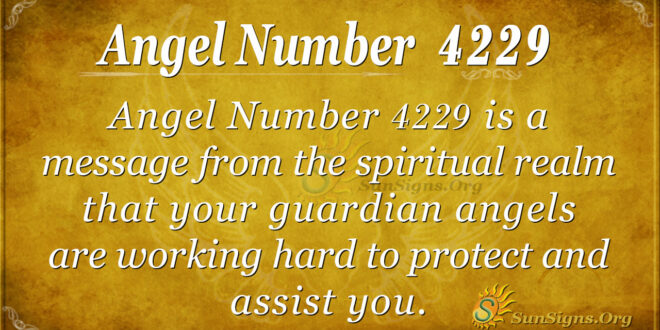 Angel number 4229