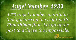 Angel number 4233