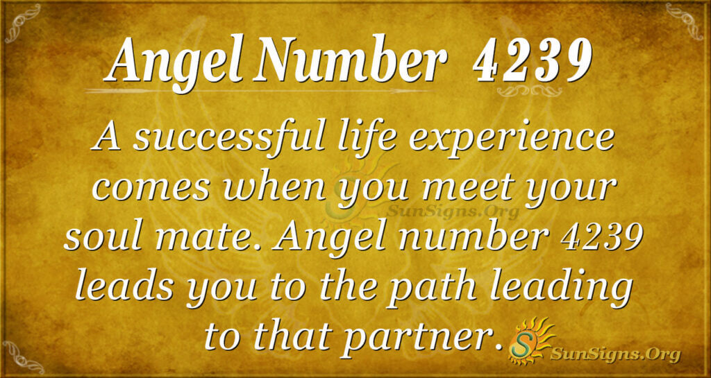 Numerology Meaning Of 423