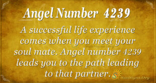 4239 angel number