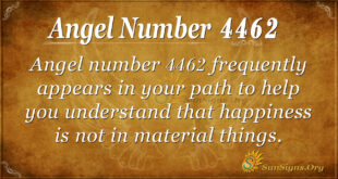 4462 angel number