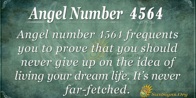 4564 angel number