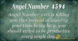 Angel number 4594