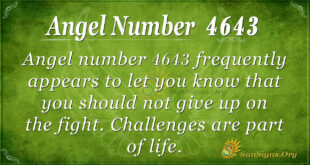 4643 angel number