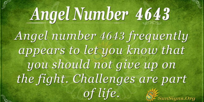 4643 angel number