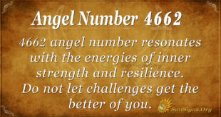 4662 angel number