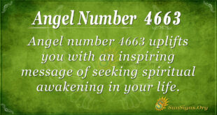 4663 angel number