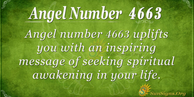 4663 angel number