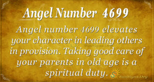 Angel number 4699